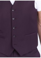 Gilet slim fit Sevenson _ Uni coloris aubergine _ 75 - Aubergine