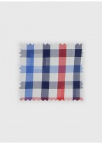 Chemisette regular fit en coton Emmanuelle Khanh _ 83 - Bleu
