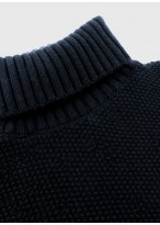 Pull col roulé en laine Emmanuelle Khanh _ 88 - Bleu marine